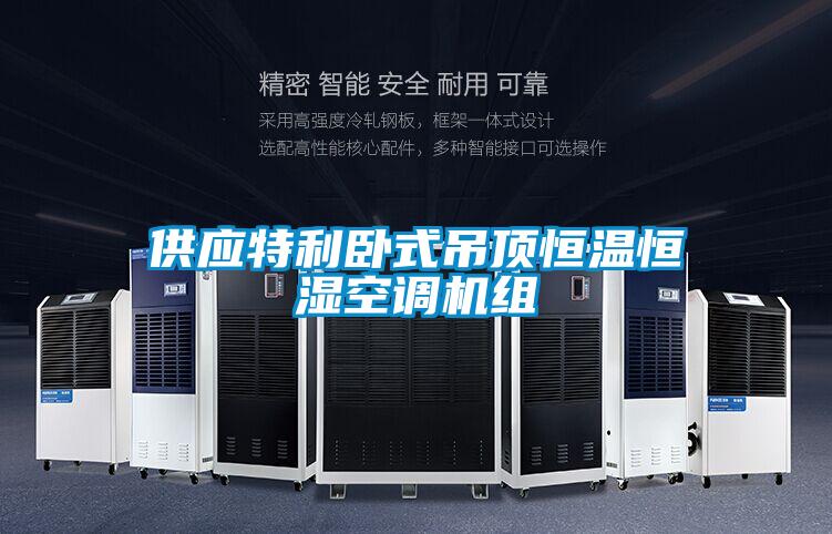 供應特利臥式吊頂恒溫恒濕空調機組