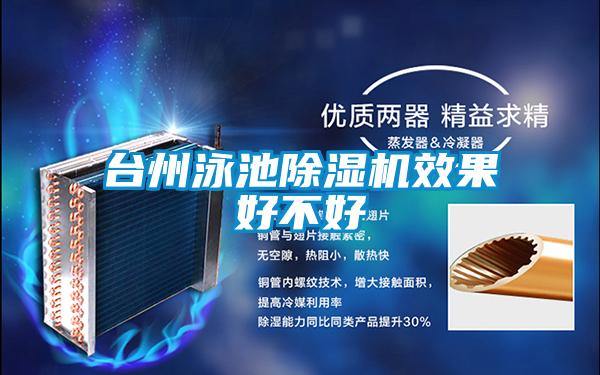 臺州泳池除濕機(jī)效果好不好