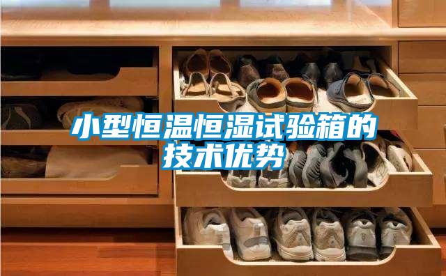 小型恒溫恒濕試驗(yàn)箱的技術(shù)優(yōu)勢