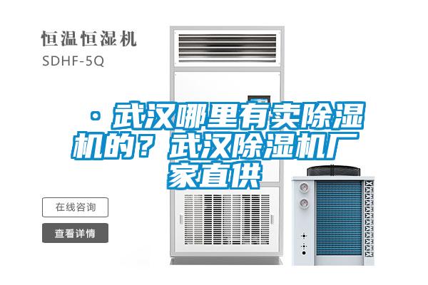 ·武漢哪里有賣除濕機的？武漢除濕機廠家直供