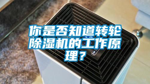 你是否知道轉(zhuǎn)輪除濕機(jī)的工作原理?