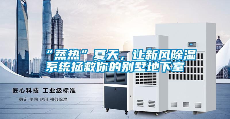 “蒸熱”夏天，讓新風(fēng)除濕系統(tǒng)拯救你的別墅地下室