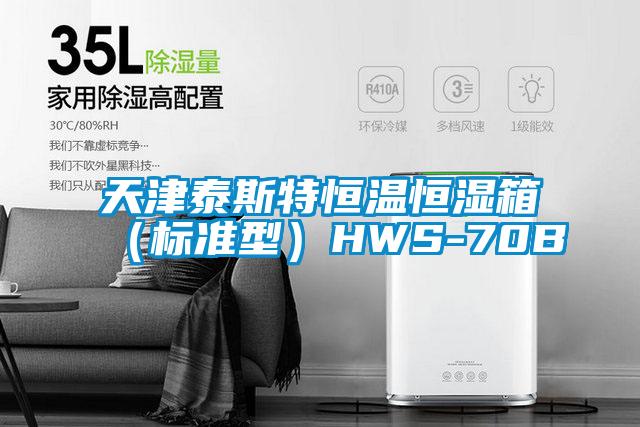 天津泰斯特恒溫恒濕箱(標(biāo)準(zhǔn)型)HWS-70B
