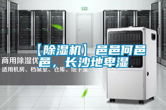 【除濕機】邑邑何邑邑,長沙地卑濕