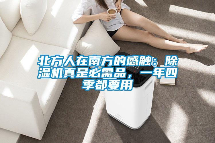 北方人在南方的感觸:除濕機(jī)真是必需品,一年四季都要用