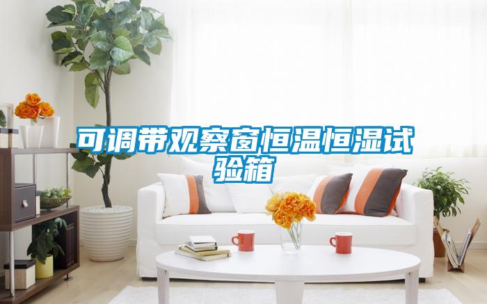 可調(diào)帶觀(guān)察窗恒溫恒濕試驗(yàn)箱