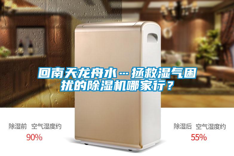 回南天龍舟水…拯救濕氣困擾的除濕機(jī)哪家行？