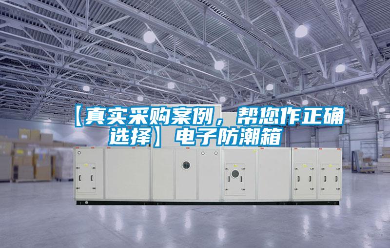 【真實采購案例，幫您作正確選擇】電子防潮箱