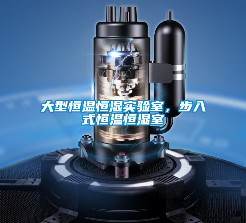 大型恒溫恒濕實(shí)驗(yàn)室,步入式恒溫恒濕室