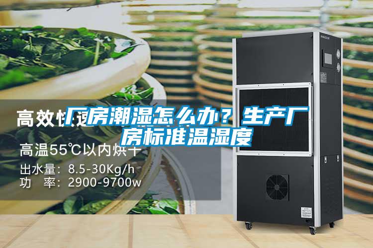 廠房潮濕怎么辦?生產廠房標準溫濕度