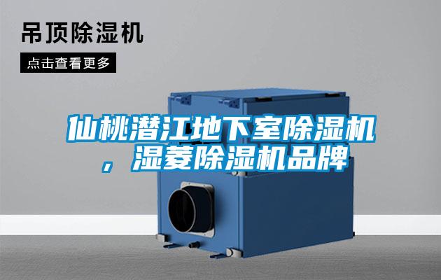 仙桃潛江地下室除濕機(jī)，濕菱除濕機(jī)品牌