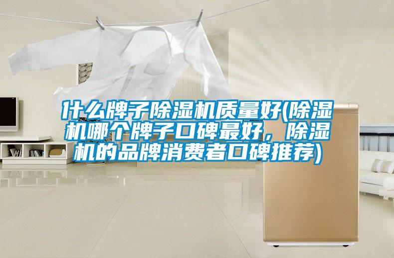 什么牌子除濕機(jī)質(zhì)量好(除濕機(jī)哪個(gè)牌子口碑最好,除濕機(jī)的品牌消費(fèi)者口碑推薦)