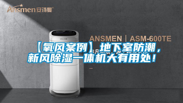 【氧風案例】地下室防潮，新風除濕一體機大有用處！