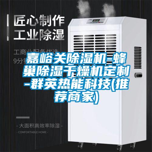嘉峪關(guān)除濕機-蜂巢除濕干燥機定制-群英熱能科技(推薦商家)