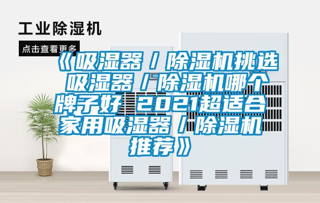 《吸濕器／除濕機(jī)挑選 吸濕器／除濕機(jī)哪個(gè)牌子好 2021超適合家用吸濕器／除濕機(jī)推薦》