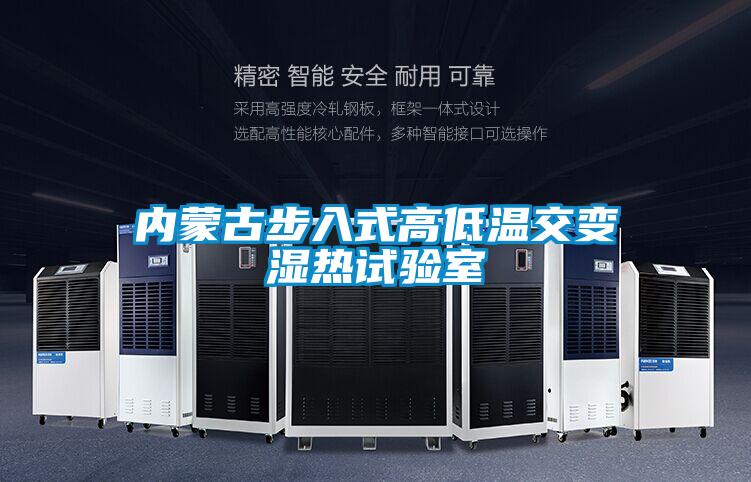 內蒙古步入式高低溫交變濕熱試驗室