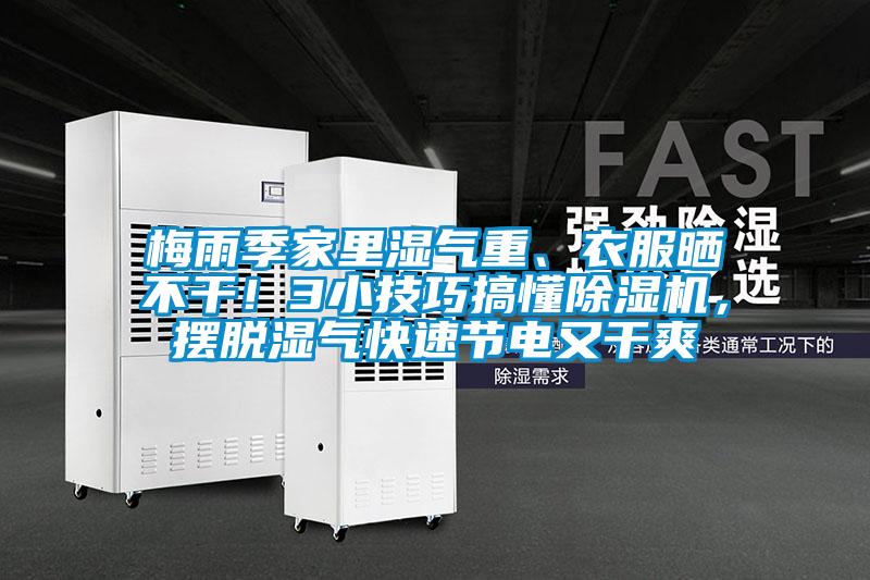 梅雨季家里濕氣重、衣服曬不干！3小技巧搞懂除濕機，擺脫濕氣快速節電又干爽
