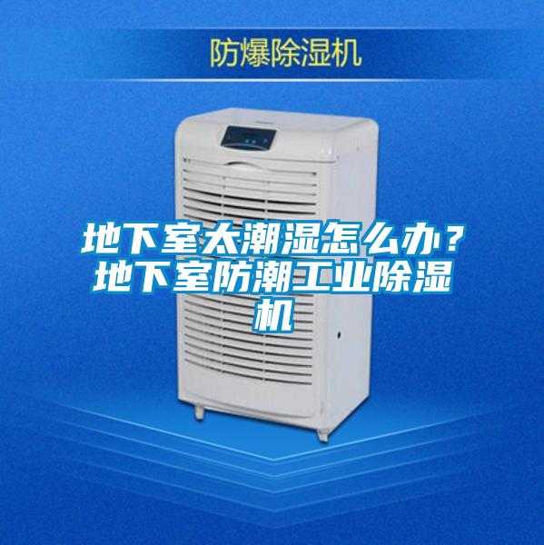地下室太潮濕怎么辦?地下室防潮工業(yè)除濕機