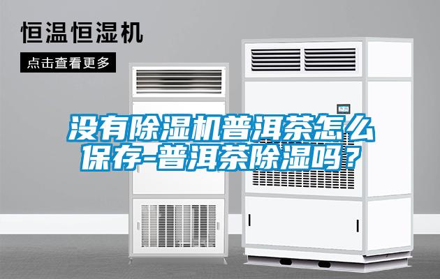 沒有除濕機普洱茶怎么保存-普洱茶除濕嗎？