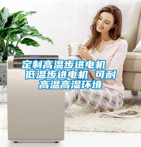 定制高溫步進電機 低溫步進電機 可耐高溫高濕環(huán)境