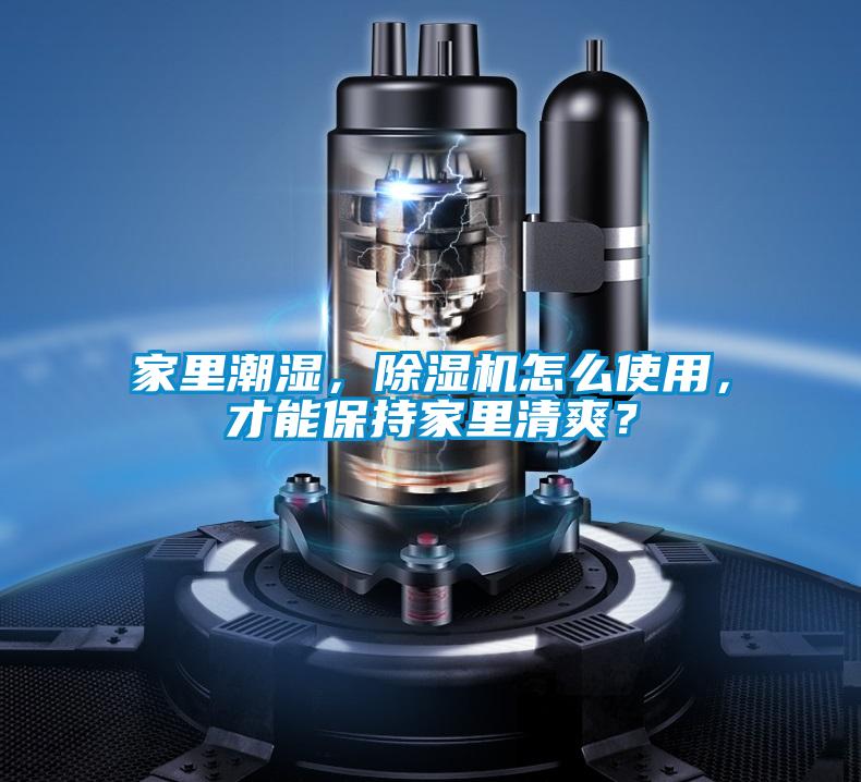 家里潮濕,除濕機(jī)怎么使用,才能保持家里清爽?
