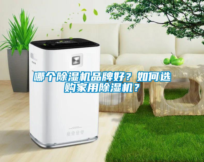 哪個除濕機品牌好？如何選購家用除濕機？