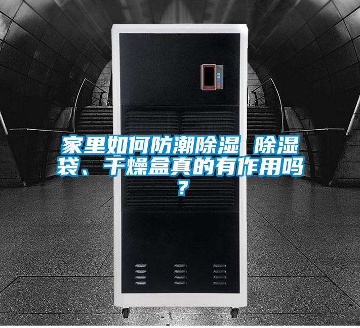 家里如何防潮除濕 除濕袋、干燥盒真的有作用嗎？