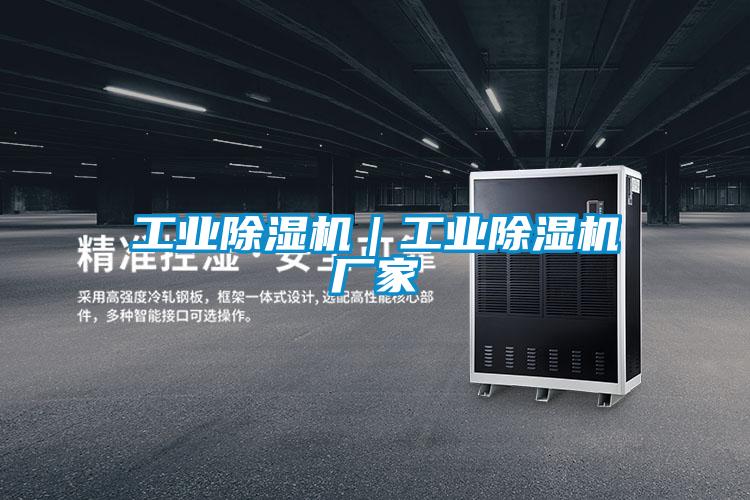 工業(yè)除濕機|工業(yè)除濕機廠家