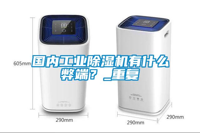 國內工業除濕機有什么弊端？_重復