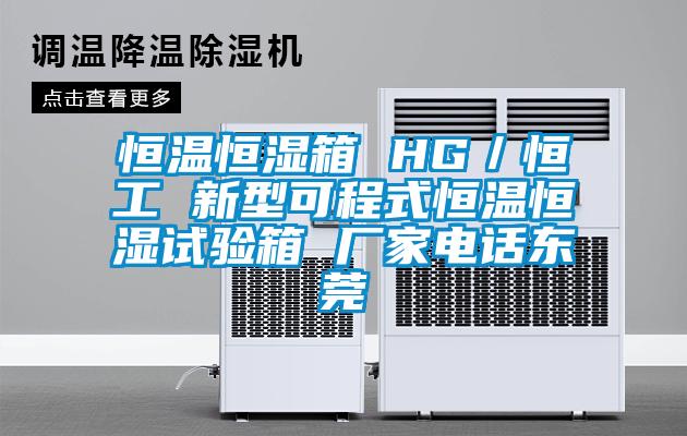 恒溫恒濕箱 HG/恒工 新型可程式恒溫恒濕試驗箱 廠家電話東莞