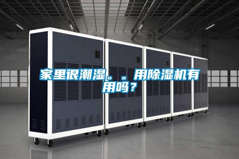 家里很潮濕。。用除濕機有用嗎?