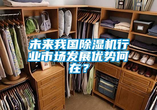 未來我國除濕機(jī)行業(yè)市場發(fā)展優(yōu)勢何在?