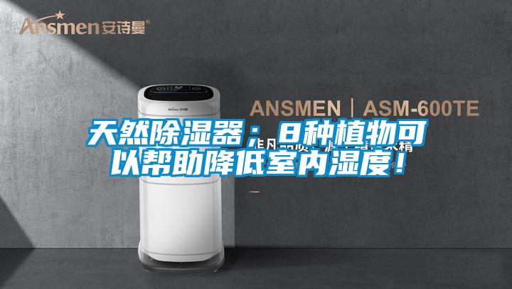 天然除濕器；8種植物可以幫助降低室內濕度！