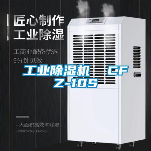 工業(yè)除濕機(jī) CFZ-10S