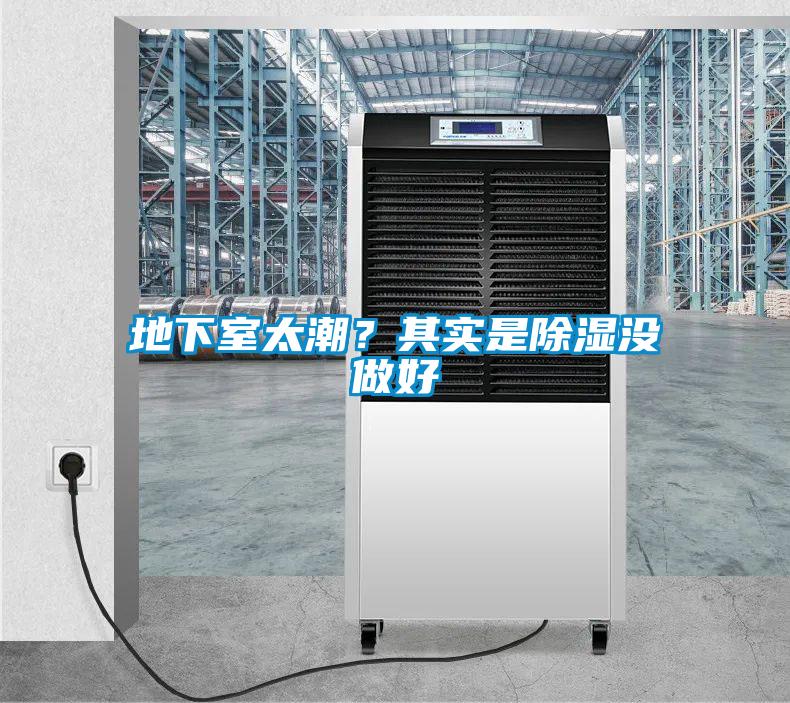 地下室太潮？其實是除濕沒做好