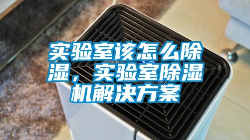 實(shí)驗(yàn)室該怎么除濕，實(shí)驗(yàn)室除濕機(jī)解決方案
