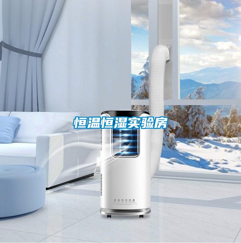 恒溫恒濕實(shí)驗(yàn)房