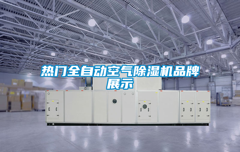 熱門全自動空氣除濕機(jī)品牌展示
