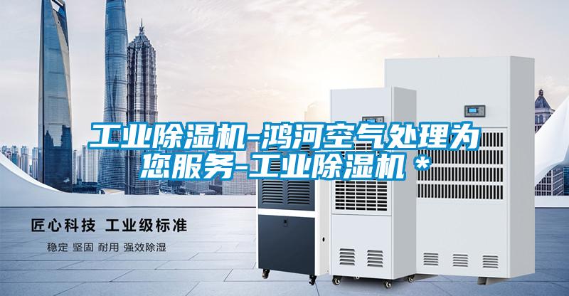 工業(yè)除濕機(jī)-鴻河空氣處理為您服務(wù)-工業(yè)除濕機(jī)*