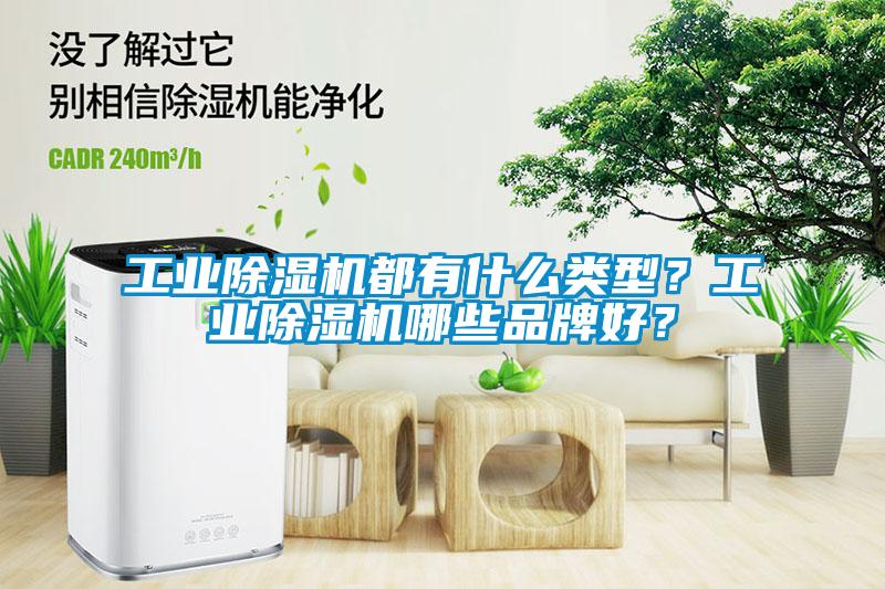 工業(yè)除濕機都有什么類型?工業(yè)除濕機哪些品牌好?