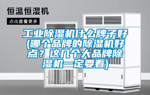 工業(yè)除濕機什么牌子好(哪個品牌的除濕機好點?這幾個大品牌除濕機一定要看)