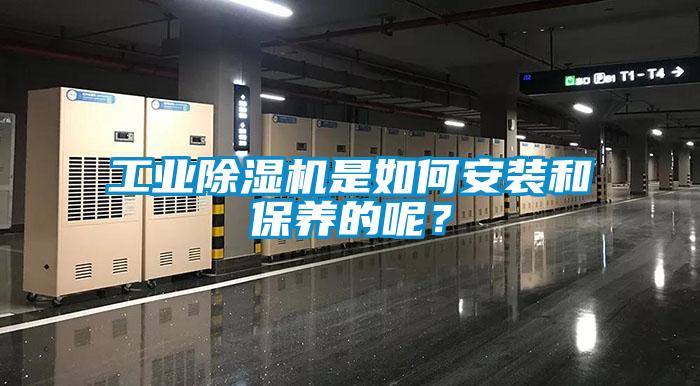 工業(yè)除濕機(jī)是如何安裝和保養(yǎng)的呢?