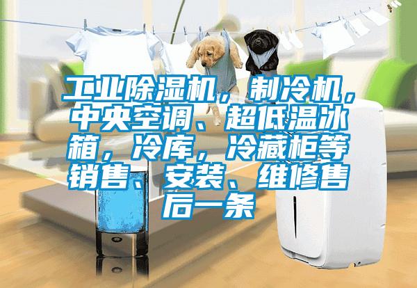 工業除濕機，制冷機，中央空調、超低溫冰箱，冷庫，冷藏柜等銷售、安裝、維修售后一條