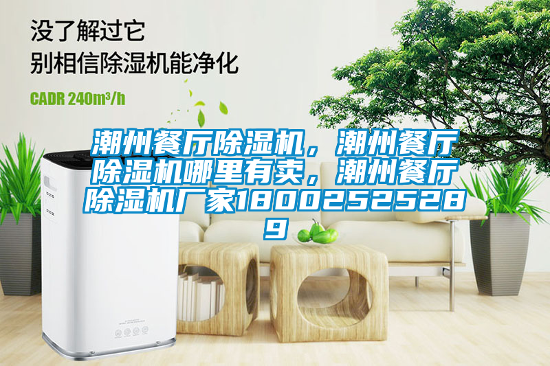 潮州餐廳除濕機(jī),潮州餐廳除濕機(jī)哪里有賣,潮州餐廳除濕機(jī)廠家18002525289