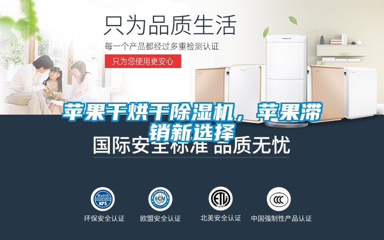 蘋(píng)果干烘干除濕機(jī),蘋(píng)果滯銷新選擇