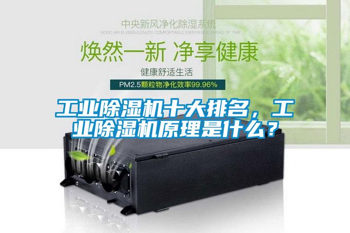 工業除濕機十大排名,工業除濕機原理是什么?