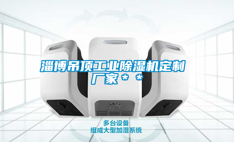 淄博吊頂工業(yè)除濕機(jī)定制 廠家**