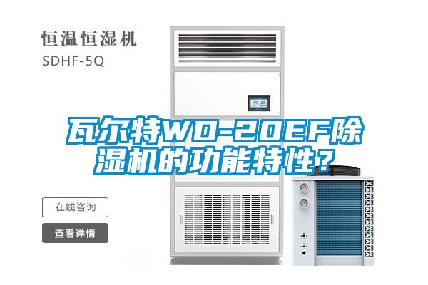 瓦爾特WD-20EF除濕機的功能特性?