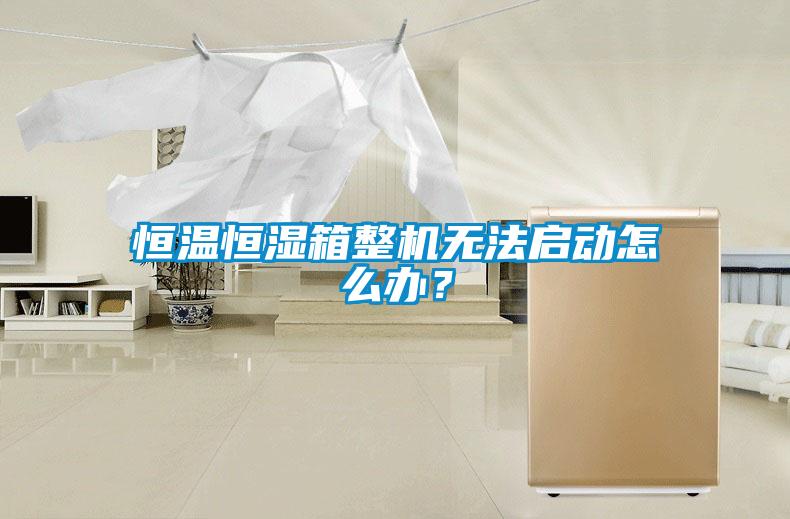 恒溫恒濕箱整機無法啟動怎么辦?