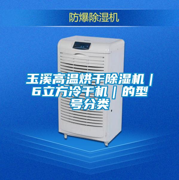 玉溪高溫烘干除濕機｜6立方冷干機｜的型號分類